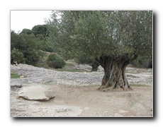 cliquez pour agrandir